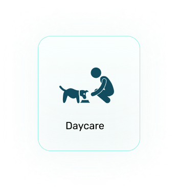 daycare